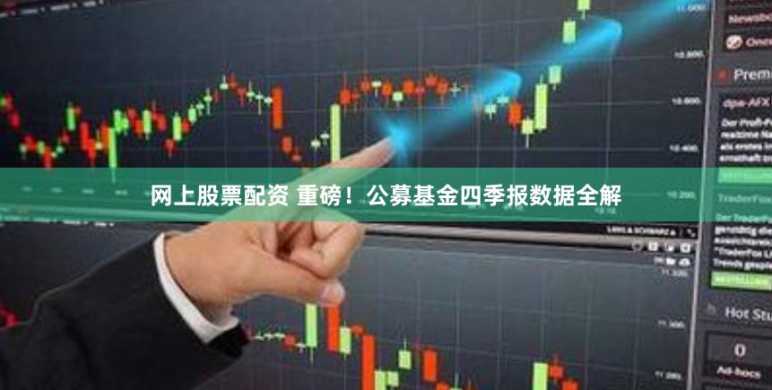 网上股票配资 重磅！公募基金四季报数据全解