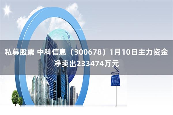 私募股票 中科信息（300678）1月10日主力资金净卖出233474万元