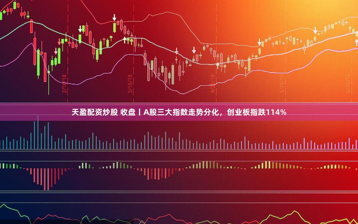 天盈配资炒股 收盘丨A股三大指数走势分化，创业板指跌114%