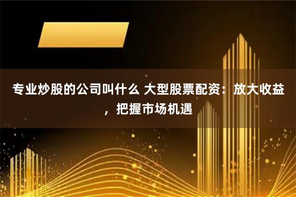 专业炒股的公司叫什么 大型股票配资:放大收益,把握市场机遇