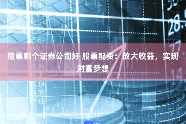 股票哪个证券公司好 股票配资：放大收益，实现财富梦想