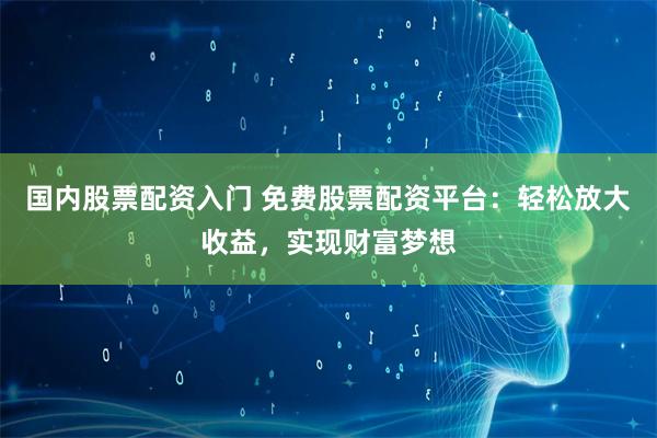 国内股票配资入门 免费股票配资平台：轻松放大收益，实现财富梦想